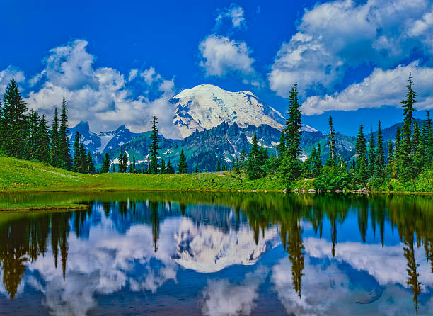 istock Spring morning with reflections in Mount Rainier Natioal Park,WA 627252538