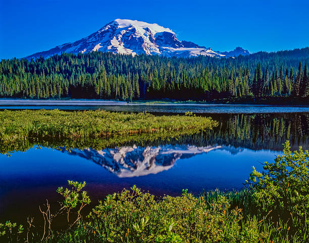 istock Spring morning with reflections Mount Rainier Natioal Park,WA 627252610