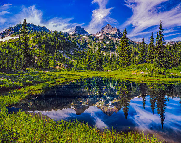 istock The Tatoosh Range spring Mt Rainier National Park, WA 627252684
