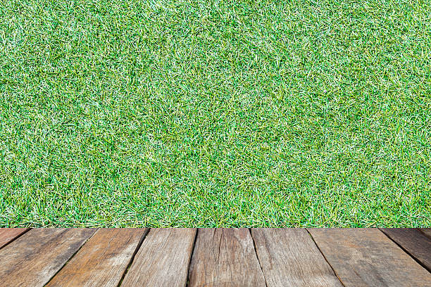 istock wood floor with artificial light green grass background 627255054