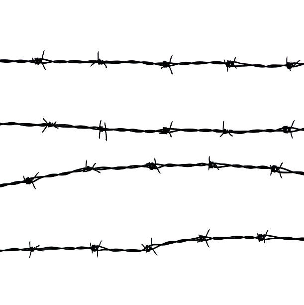 lines of barbed wires against white square background, copy space - razor wire imagens e fotografias de stock