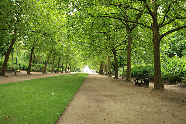 There is always light at the end of the tunnel. Parc de Bruxelles.