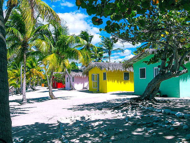 The view of the Catalina island, Dominican Republic The view of the Caribbean Sea with colorful houses and coconut palms and white sand of the tropical island of Catalina la boca photos stock pictures, royalty-free photos & images