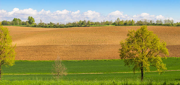 istock Landscape of plowed field with blue sky background. 627263782