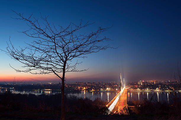 istock Liberty Bridge in Novi Sad 627269706