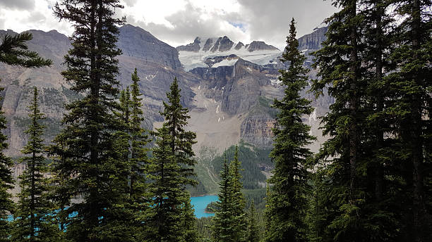istock Peaking through the trees to Moran Lake and mountain glaciers. 627270770