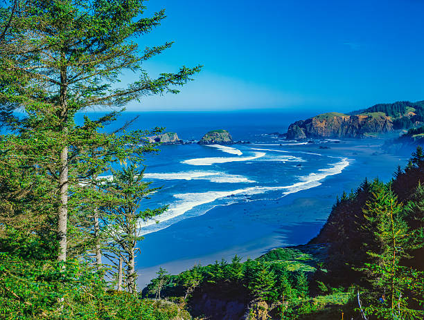 istock Oregon coastline at Boardman State Park with sea tacks 627272242