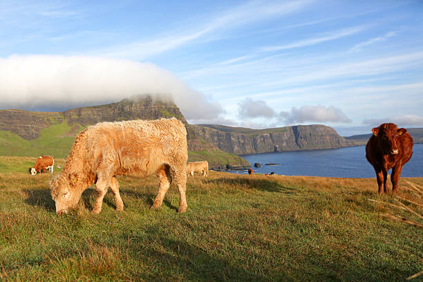 istock Neist Point, Isle of Skye, Scotland 627278466