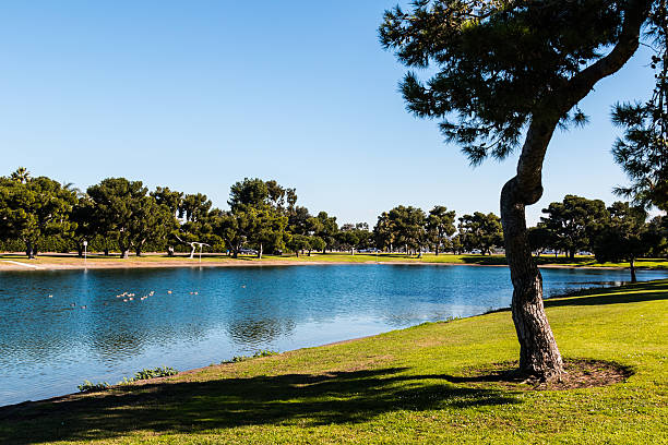 istock Shore of Model Boat Pond in San Diego 627285402