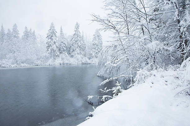 istock Landscape of winter storm 627286854