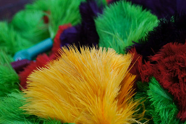 istock Ostrich feathers for sell in South Africa. 627290466
