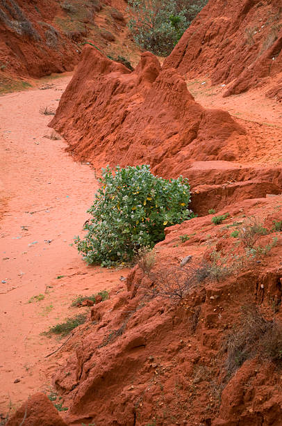 istock Doi Hong (Pink hill) at Mui Ne, Phan Thiet, Vietnam 627291834
