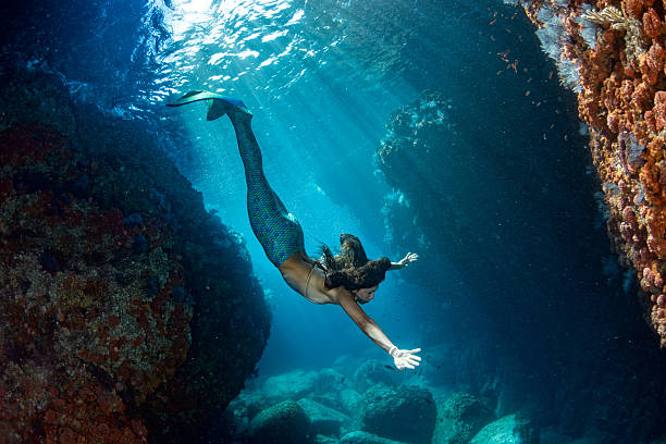 русалка плавание под водой в глубоком синем море - русалка стоковые фото и изображения