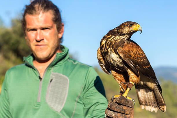 istock Man holding a falcon on his arm 627304242