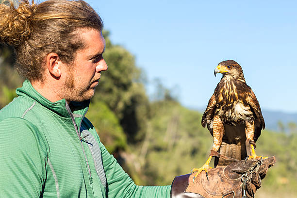 istock Man holding a falcon on his arm 627304282