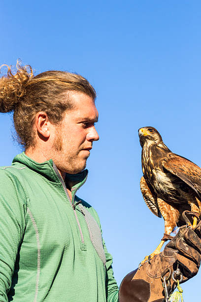 istock Man holding a falcon on his arm 627304352