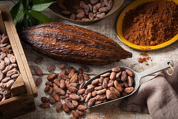 Cocoa beans and pod Cocoa beans and cocoa pod with cocoa powder on a wooden surface. cacao fruit stock pictures, royalty-free photos & images