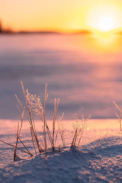 istock Sunset winter landscape with snow-covered field. 627317478