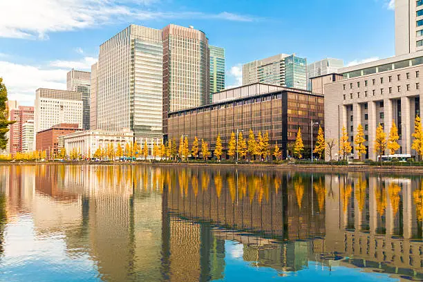 Autumn trees and buildings are reflected on a lake in Ginza, Tokyo - Japan.