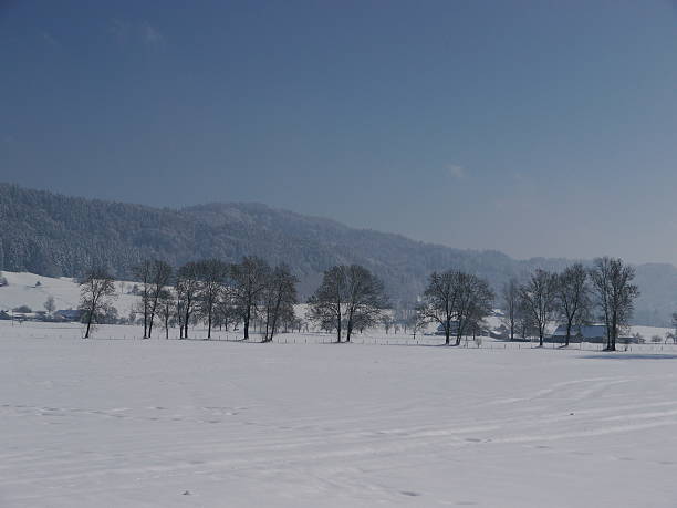 istock beautiful snowy landscape forest 627328002