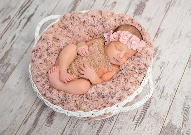 istock beautiful newborn in basket with fluffy blanket 627330078