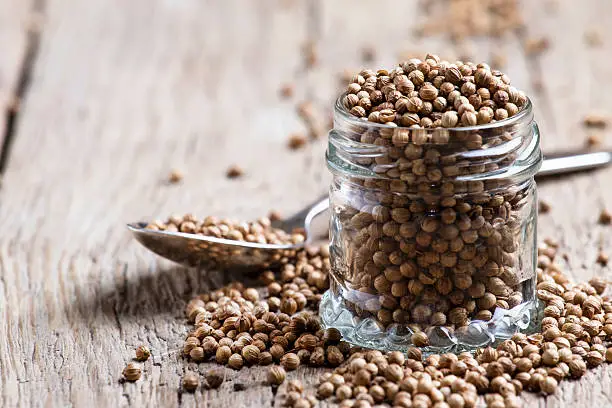 Coriander seed in a glass jar, vintage wooden background, selective focus