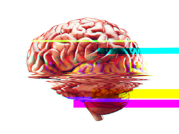 efecto de fallo de insuficiencia cerebral - cerebelo fotografías e imágenes de stock