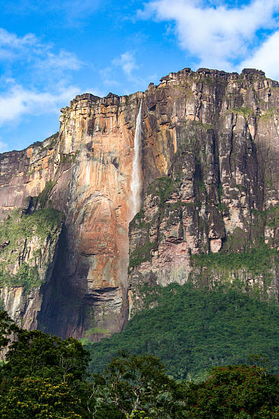 angel falls, parque nacional canaima, venezuela - ciudad bolivar fotografías e imágenes de stock