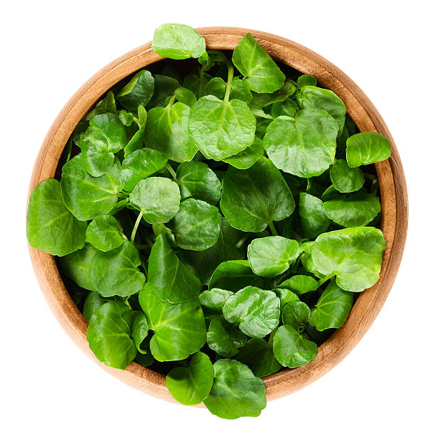 Watercress in wooden bowl over white Watercress in wooden bowl. Nasturtium officinale, an edible green aquatic plant and leaf vegetable, used in salads or in soups. Isolated macro food photo close up from above on white background. watercress stock pictures, royalty-free photos & images