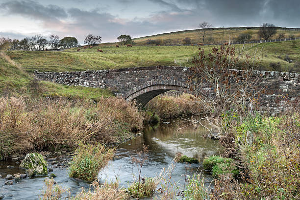 smardale bridge, ravenstondale, yorkshire - kirkby stephen imagens e fotografias de stock