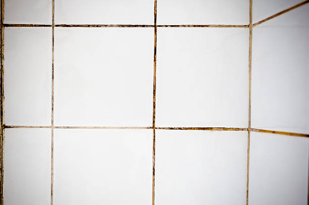 クリーニング対汚れたグラウトバスルームタイル - tiled floor tile floor grout ストックフォトと画像