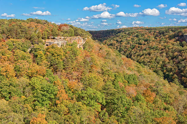istock Wolf Creek Overlook In Alabama 627370734