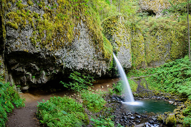 istock Pony Tail Falls, Columbia River Gorge, Oregon 627372586
