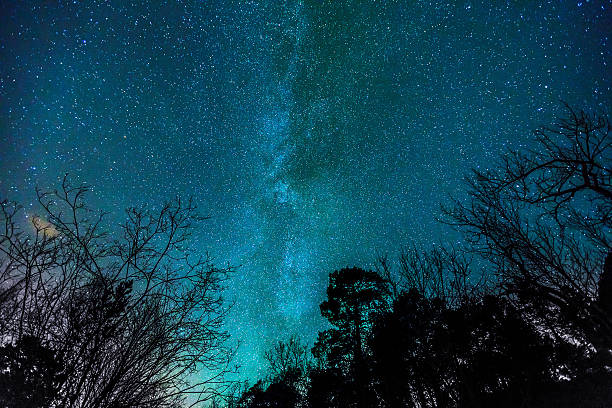 istock Stars of the milky way 627374146