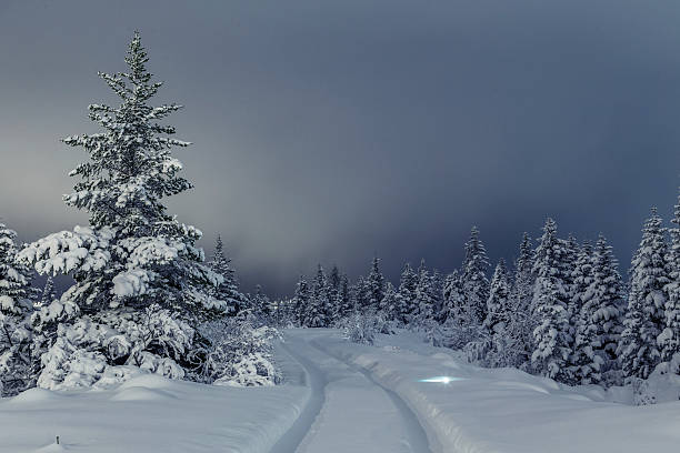 winter wonderland  - london england christmas snow winter стоковые фото и изображения