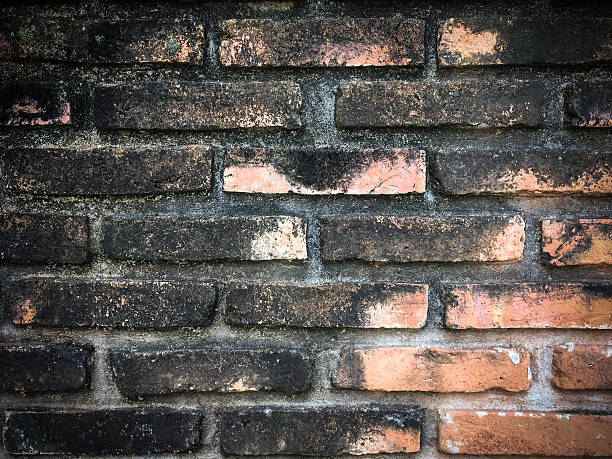 istock Dirty brick wall cover by moss for background 627380398