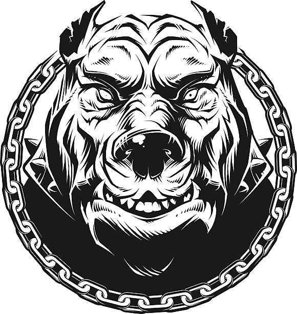 Angry Pitbull Cartoons Illustrations, Royalty-Free Vector Graphics & Clip Art - iStock Angry Pitbull Cartoons Illustrations, Royalty-Free Vector Graphics & Clip Art - iStock
