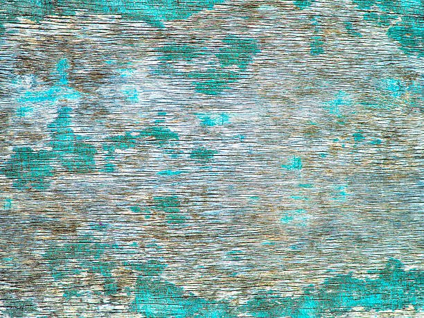 istock texture of bark wood use as natural background 627397884