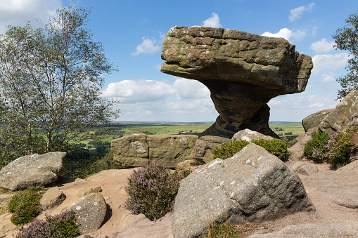 Brimham Rocks are balancing rock formations on Brimham Moor in North Yorkshire, England. The rocks stand at a height of nearly 30 feet in an area owned by the National Trust which is part of the Nidderdale Area of Outstanding Natural Beauty.