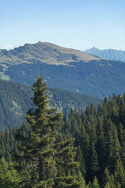 View of Mountain Alps near Vipiteno - Sterzing (Bolzano, Italy) stock photo