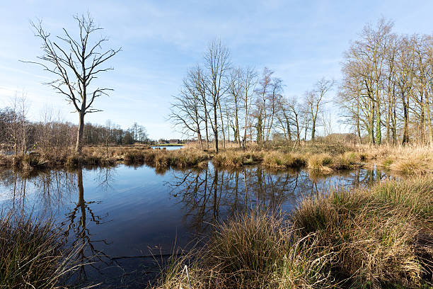 istock Lake De Witt Winter Panorama / Germany 627414916