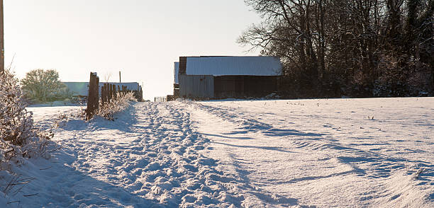 Snow-covered farm track in Dorset Stalbridge, England, United Kingdom - December 18, 2010: Footprints are trodden in snow on a farm track leading through fields to a barn in the Blackmore Vale dairy farming district of North Dorset. blackmore vale stock pictures, royalty-free photos & images