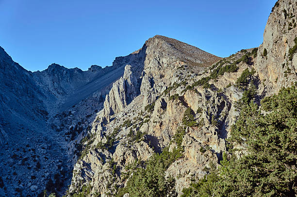 istock rocky sewn in the White Mountains 627418256