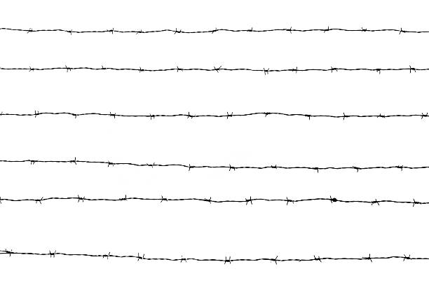 istock Lines of barbed wires against white horizontal background, copy space 627418686