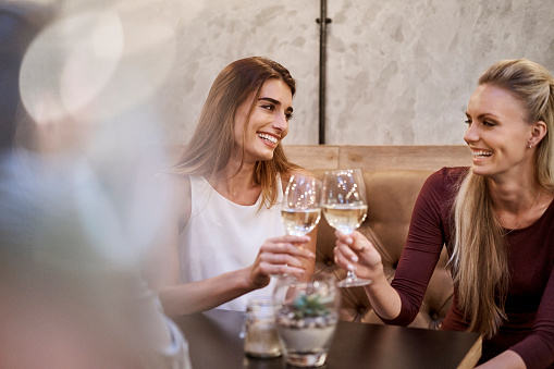 A photo of smiling young women toasting wine glasses. Cheerful female friends enjoying party in restaurant. Young ladies spending quality time together.