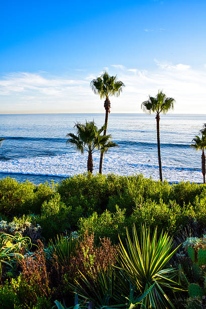 istock Heisler Park Laguna Beach 627429814