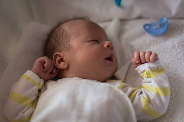 istock Sleeping in the baby cradle 627441766