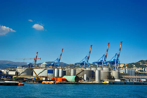 istock terminal cranes and forklifts in Genova port 627446952