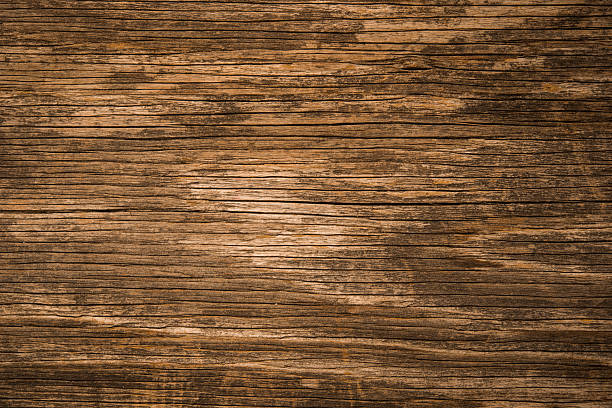 istock Texture of bark wood use as natural background 627455074
