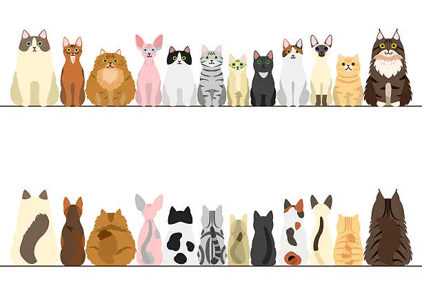 Vector illustration of cats border set, front view and rear view